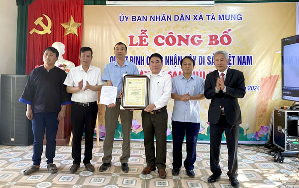 Cây[-]đầu[-]tiên[-]của[-]tỉnh[-]Lai[-]Châu[-]được[-]công[-]nhận[-]Cây[-]Di[-]sản[-]Việt[-]Nam